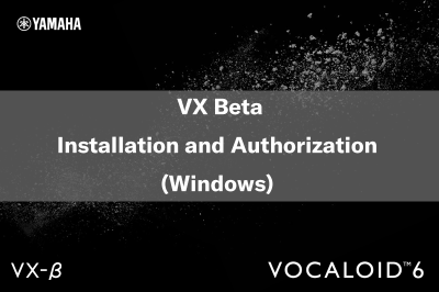 VX Beta Installation and Authorization (Windows)