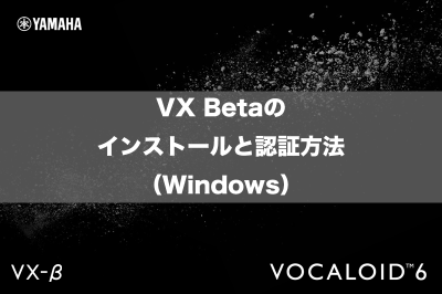 VX Betaのインストールと認証方法（Windows）